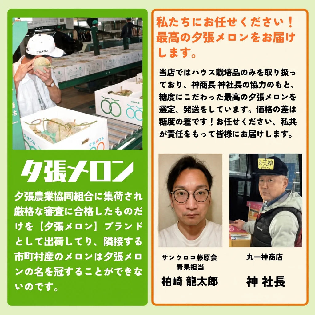 ［秀品］夕張メロン